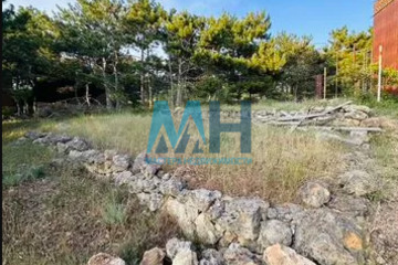 Ведение садоводства, 6 сот.