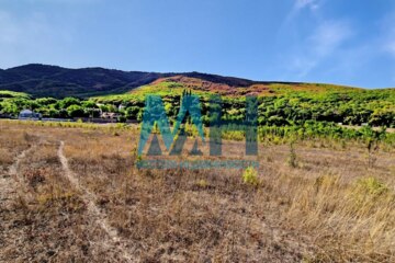 С/х использование, 664 сот.