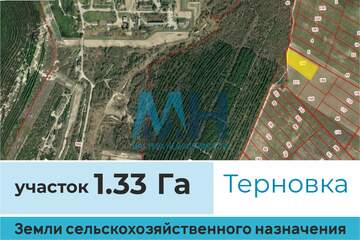 С/х использование, 13300 м²