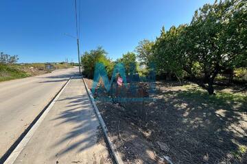 Ведение садоводства, 4 сот.